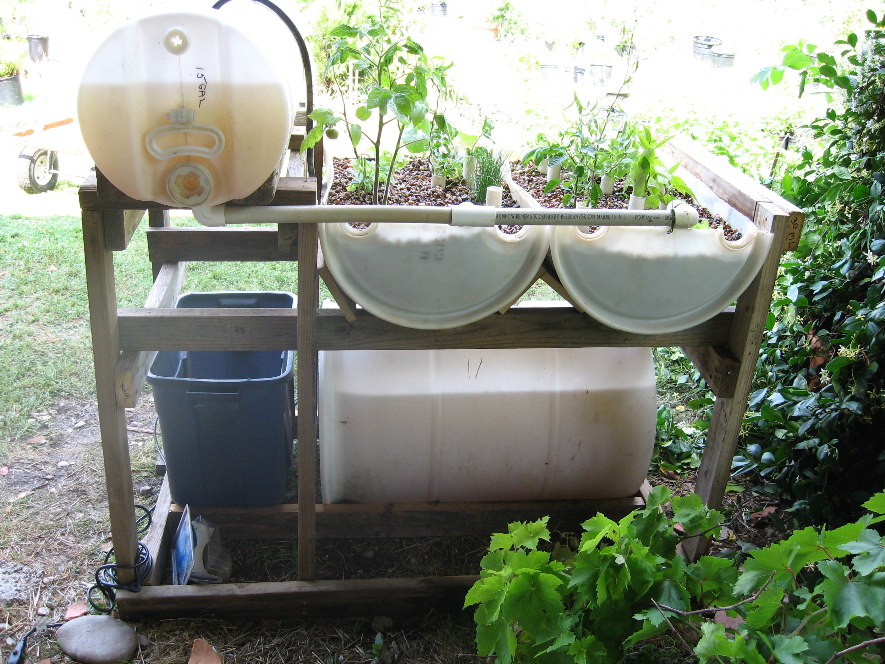 Aquaponics System Complete with Plants | Permaculture Project
